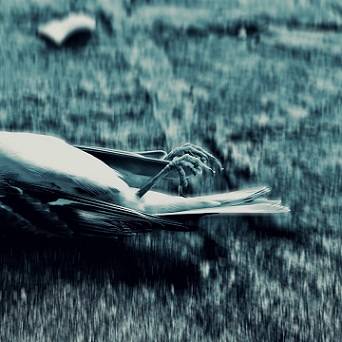 Dead On Mars : Until My Enemies Float Down the River